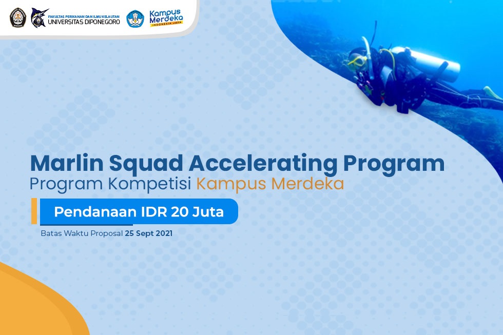 We are Opening Marlin Squad Accelerating Program 2021